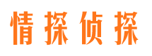 岱岳市侦探公司